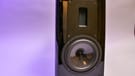 Aurum Cantus V2M