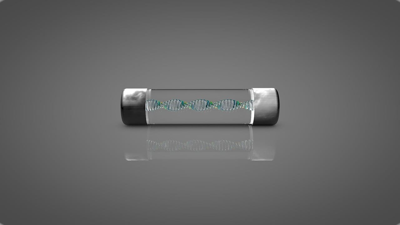 Audiophile fuses: does it make sense? Audiophile fuses: does it make sense?